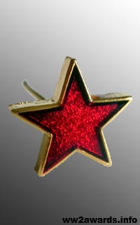 photo of the Distinguished Service Badge for Wounding