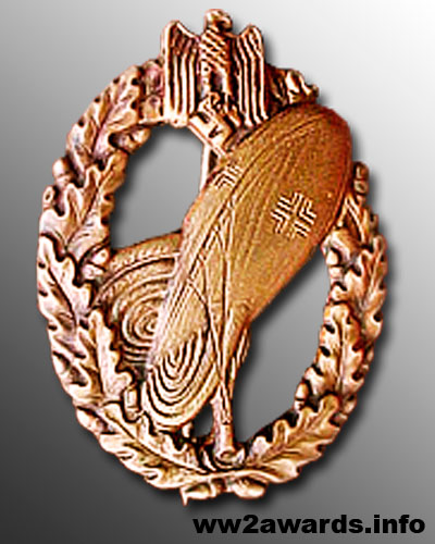 Balloon Observer Badge Photo