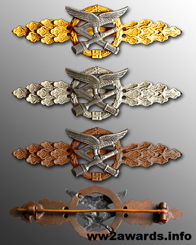 Luftwaffe Close Combat Badge photo